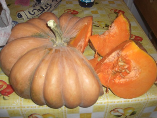 Organic pumpkin